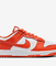 Dunk Low Retro