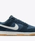 Dunk Low Retro Se