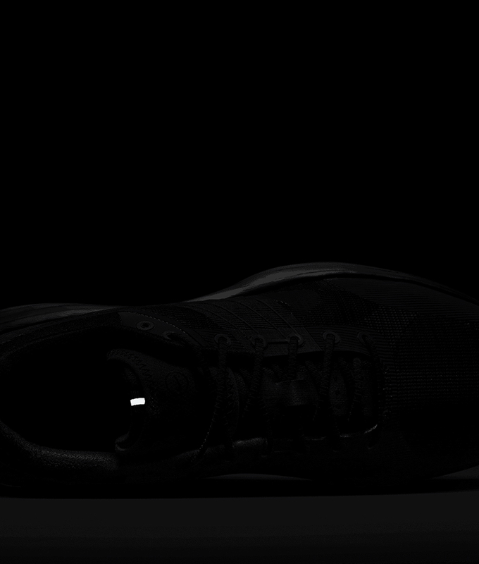 Lunar Roam