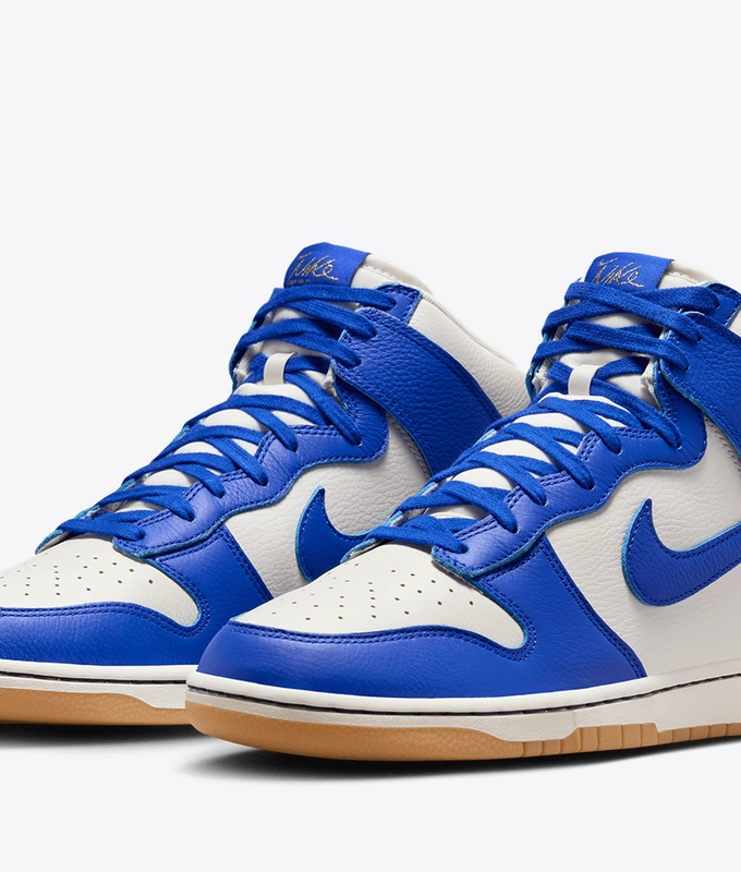 Dunk High Retro Se