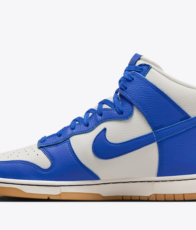 Dunk High Retro Se
