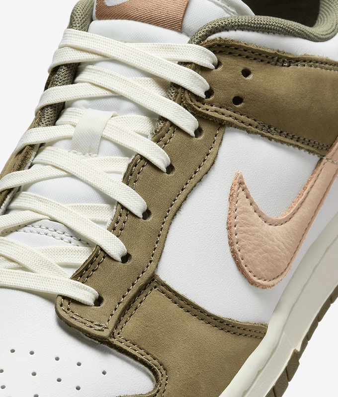 Dunk Low Retro Premium