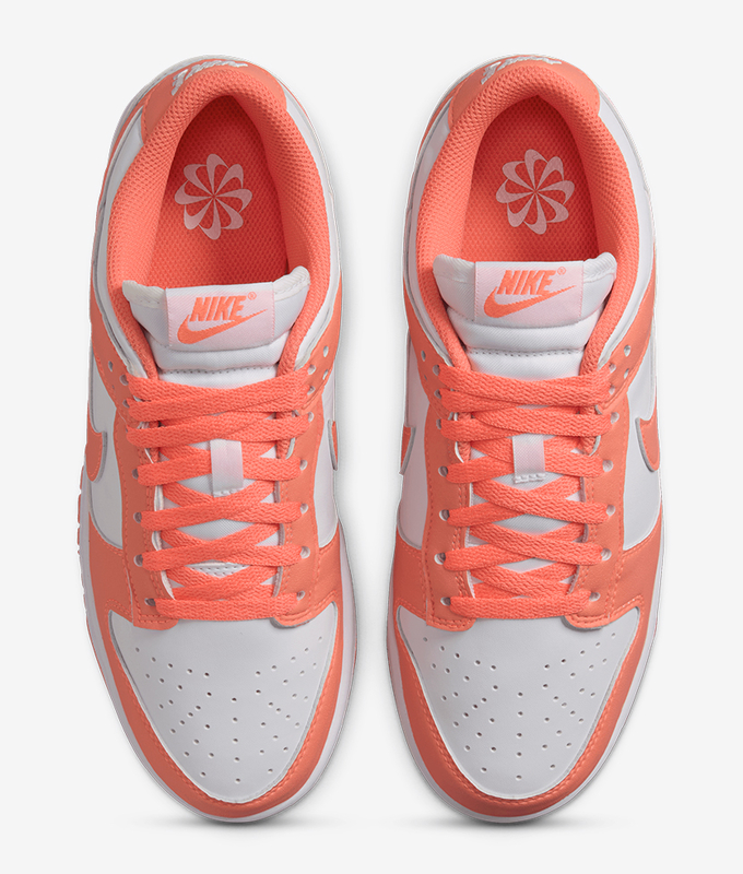 Dunk Low Nn