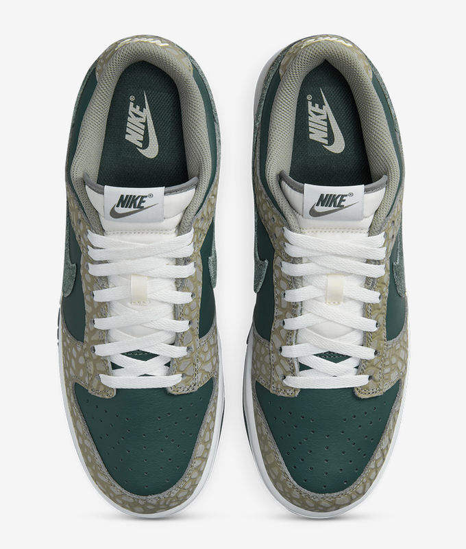 Dunk Low Retro Premium