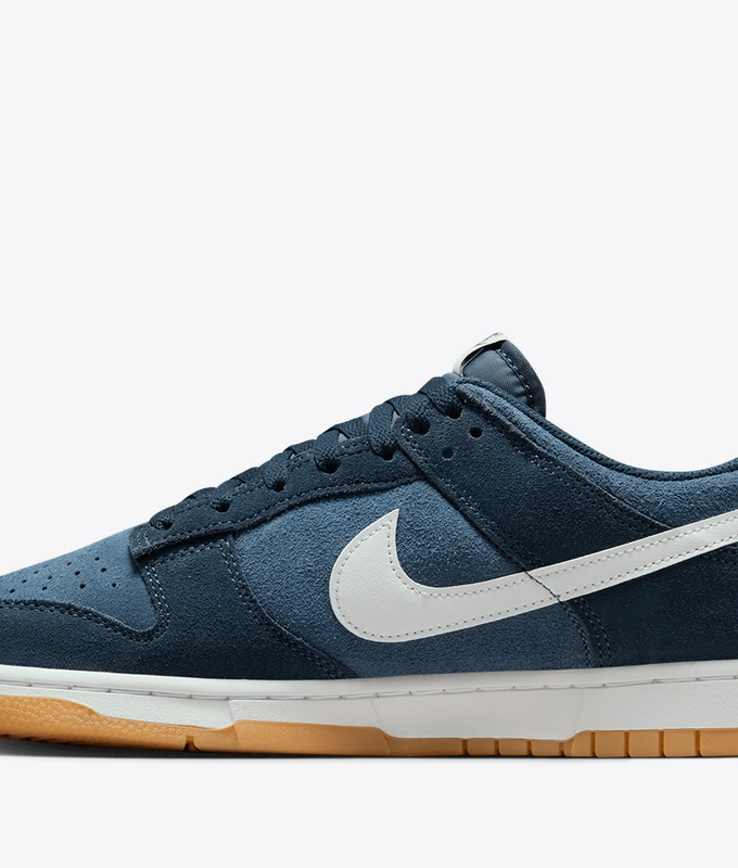 Dunk Low Retro Se