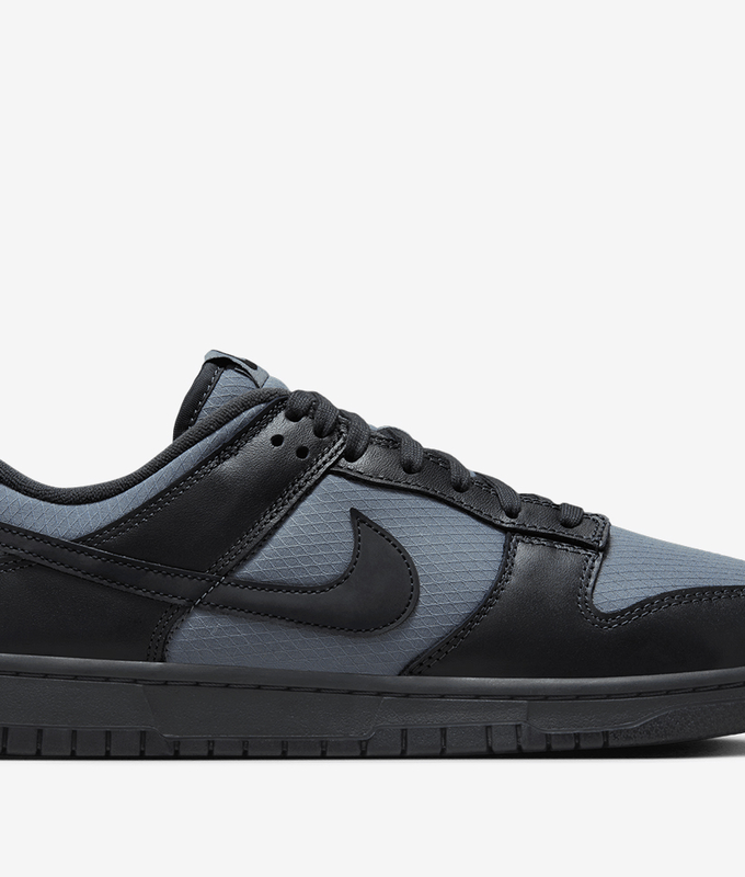 Dunk Low Retro Se
