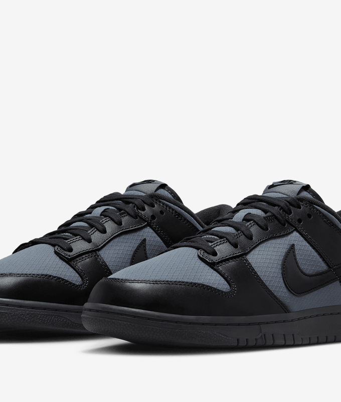 Dunk Low Retro Se