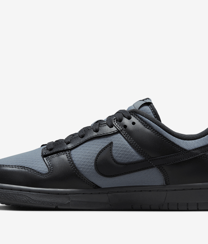 Dunk Low Retro Se