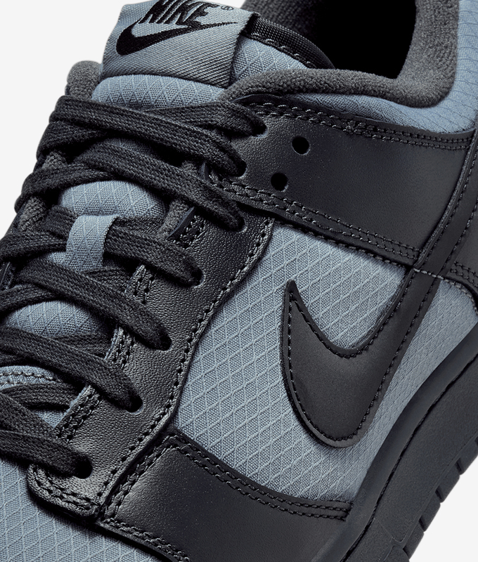 Dunk Low Retro Se