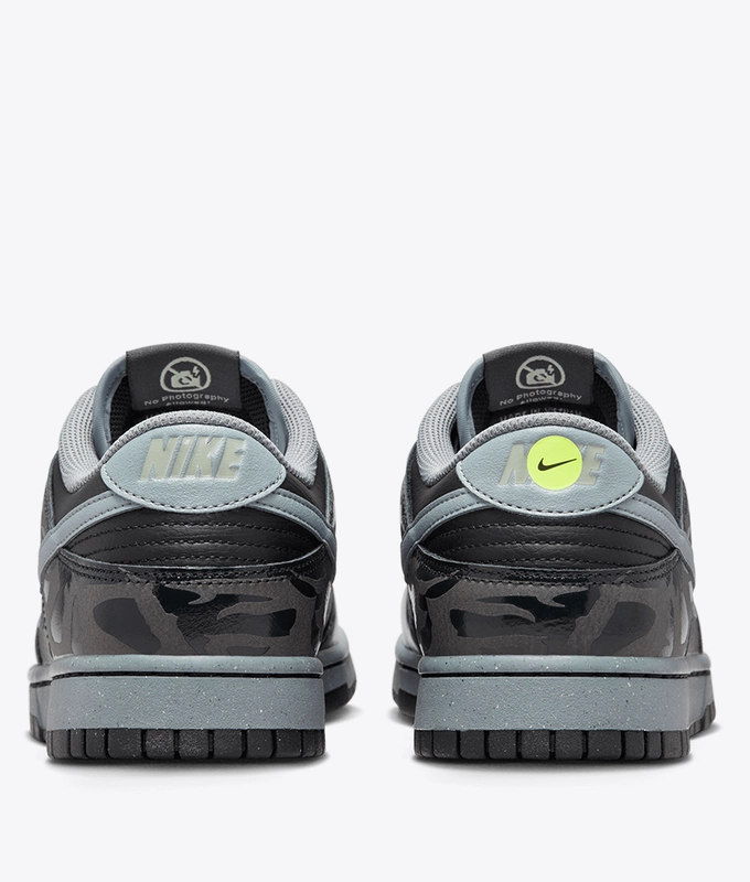 Dunk Low Retro