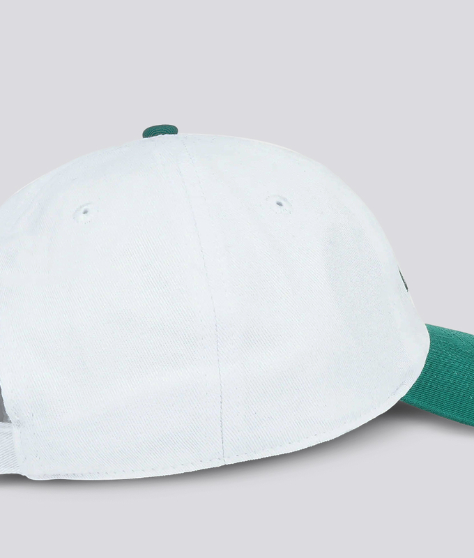 Health Is Wealth Hat