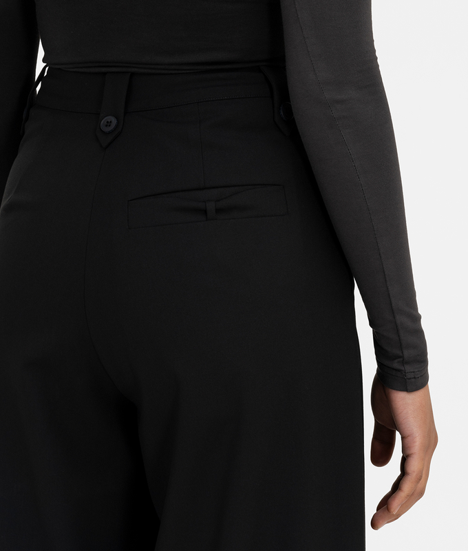 Wide Leg Pleated Pants
