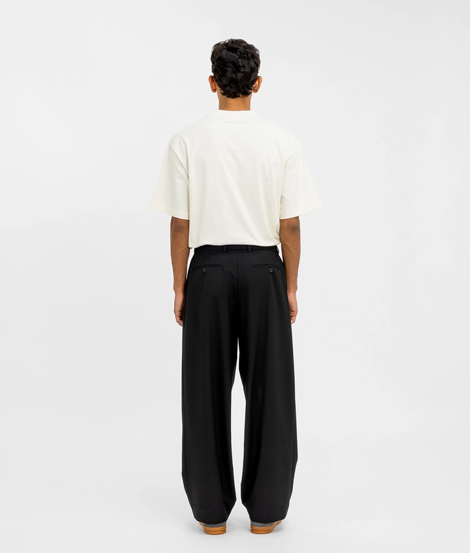 Wide Leg Pleated Pants
