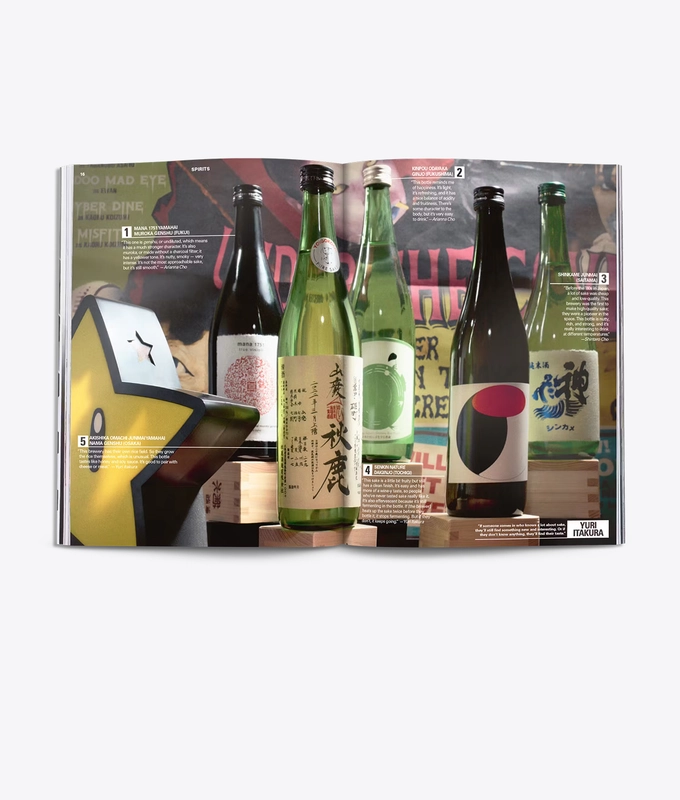 MAGAZINE: ISSUE 36- TURNSTILE