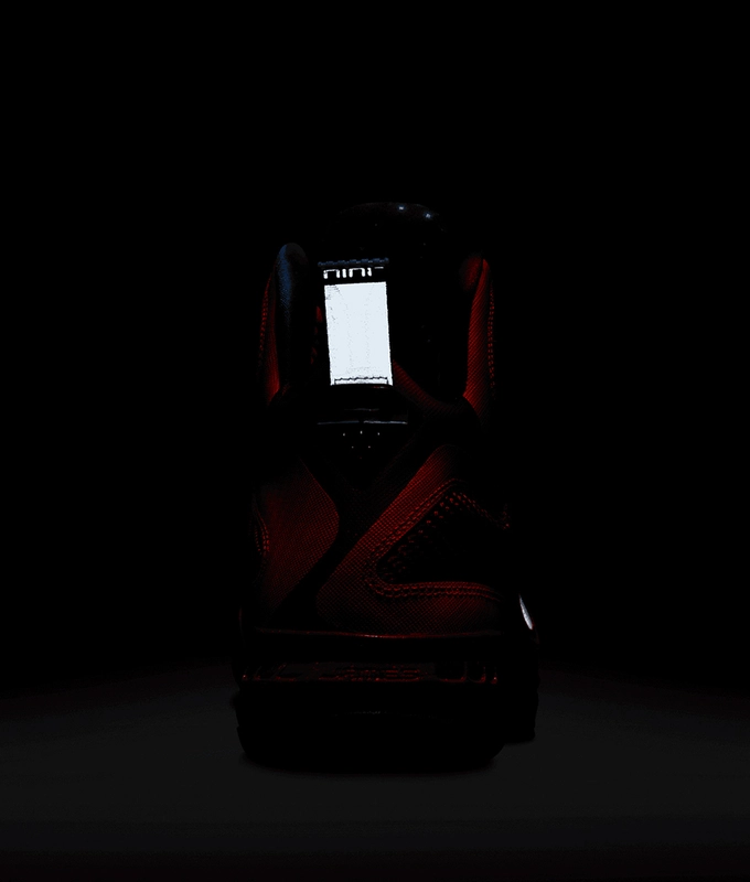 Lebron Ix